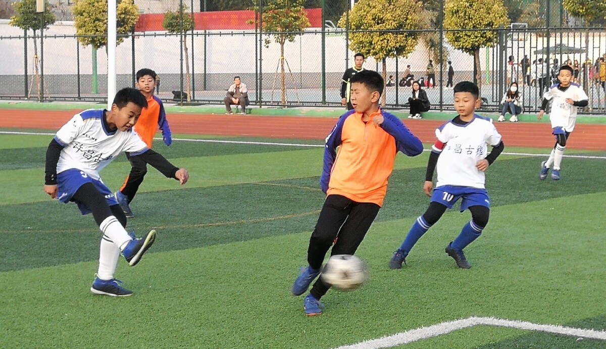 归皇家贝蒂 归皇家贝蒂