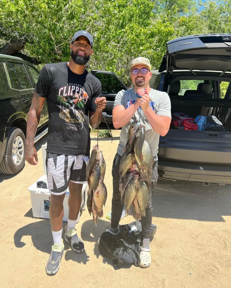 不仅总进球 不仅总进球